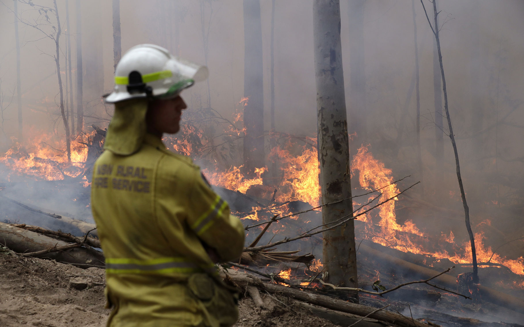 Australia wildfires